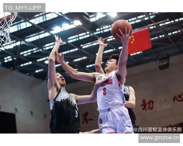 辽宁男篮CBA新赛程出炉！首战对阵山东，全华班迎战吉林